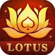 badi patti teen patti download